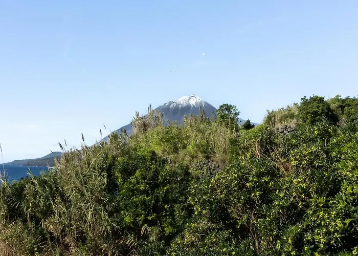 Dom wakacyjny Picos House *