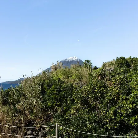 Ferienhaus Picos House *